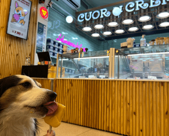 Gelato pet da Cuor di Crema 