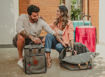 Sestini anuncia linha de produtos para pets