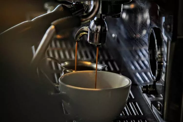Tostare Café tem crescimento acelerado