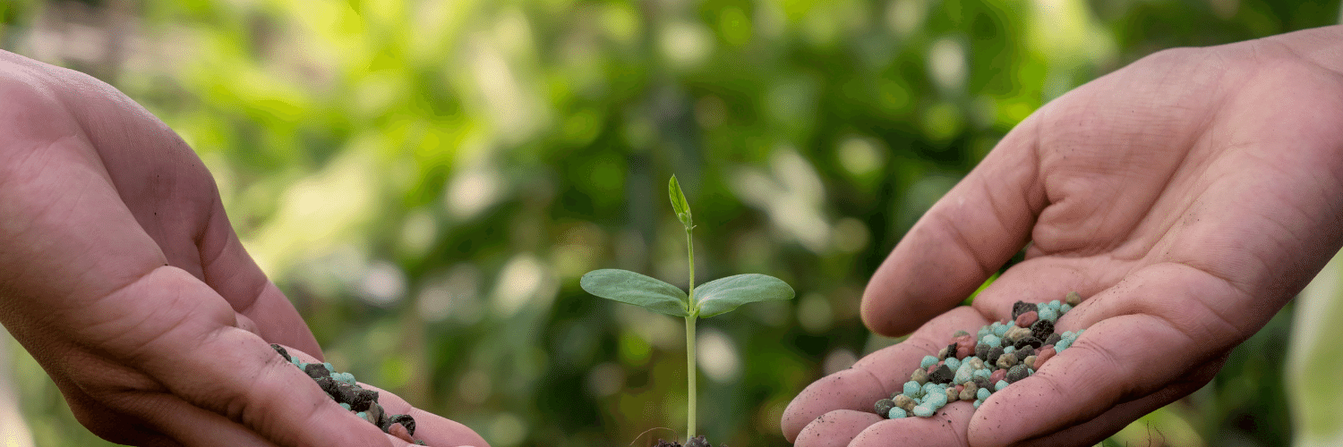 Pequenos negócios têm papel estratégico na agenda da sustentabilidade