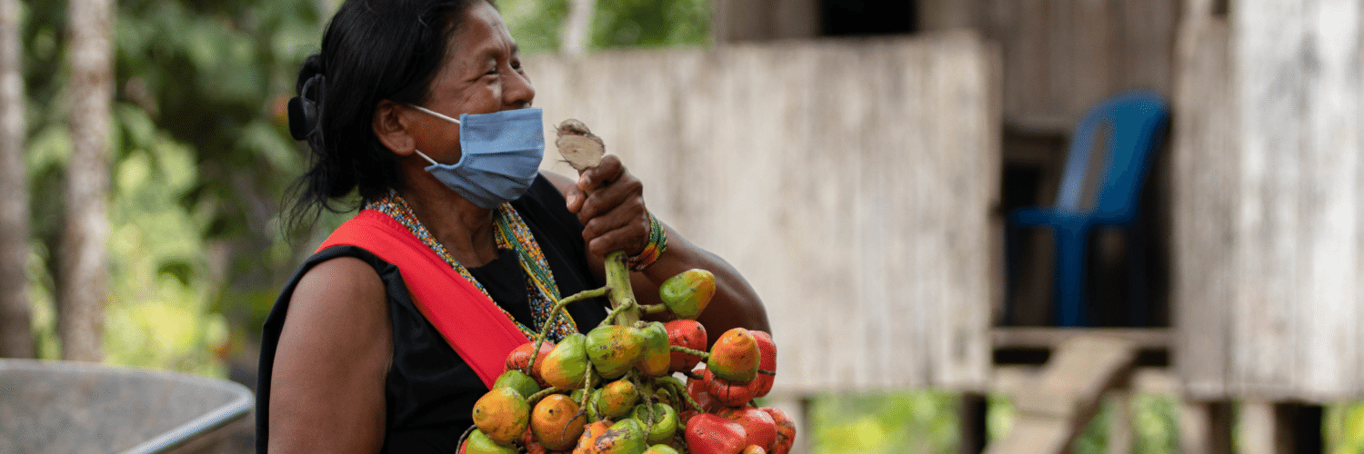 BNDES vai destinar R$ 2,5 milhões para bioeconomia na Amazônia