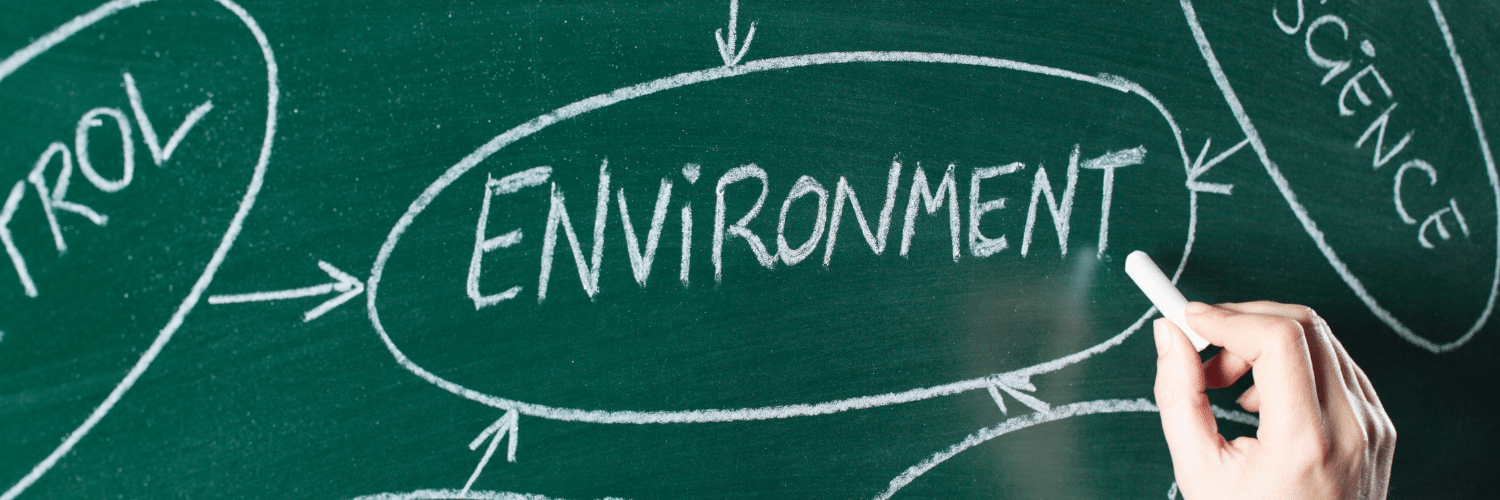 Artigo: Meio Ambiente deve seguir desenvolvimentismo sustentável em nova gestão