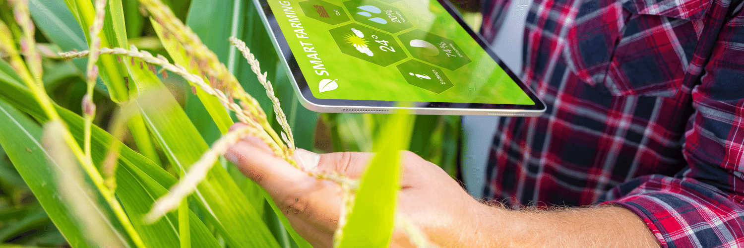 Agronegócio: boas perspectivas também no franchising