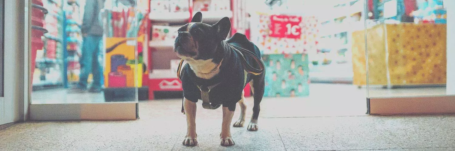 Franquia de pet shop do interior de São Paulo dobra faturamento em menos de um ano