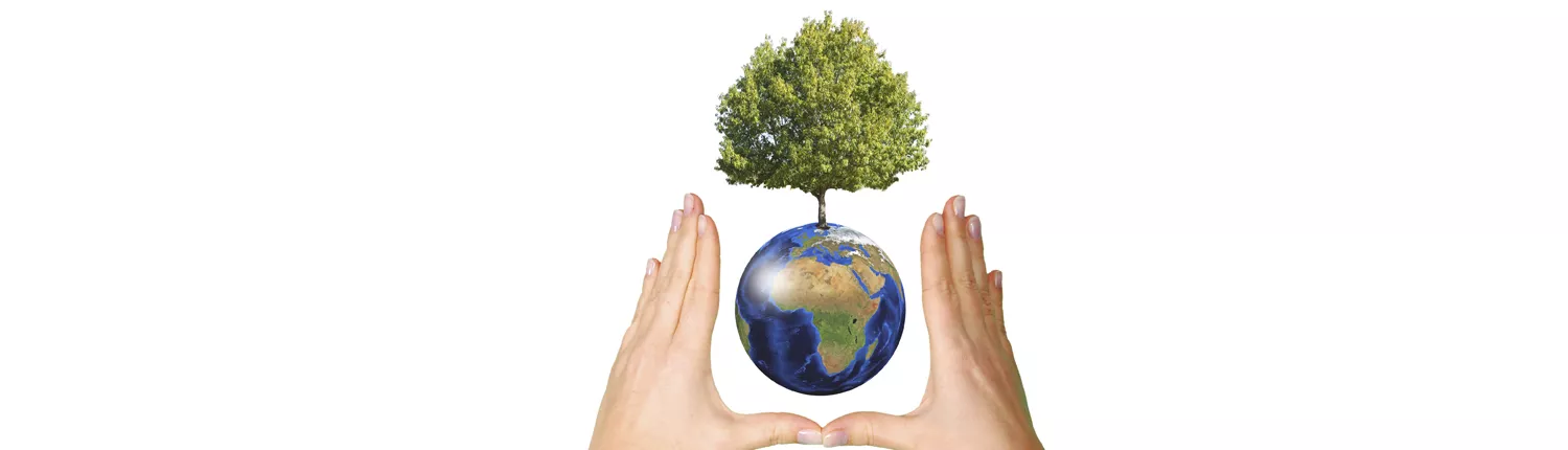 Franquias preocupadas com o meio ambiente apoiam Dia Internacional da Terra