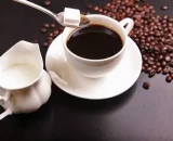 Vanilla Caffè apresenta modelo de negócio