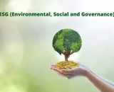 Governança: qual sua importância no contexto ESG e suas melhores práticas?