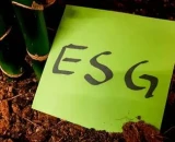 O ESG na estratégia corporativa