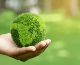 O ESG e o compromisso das empresas com questões ambientais, sociais e de governança